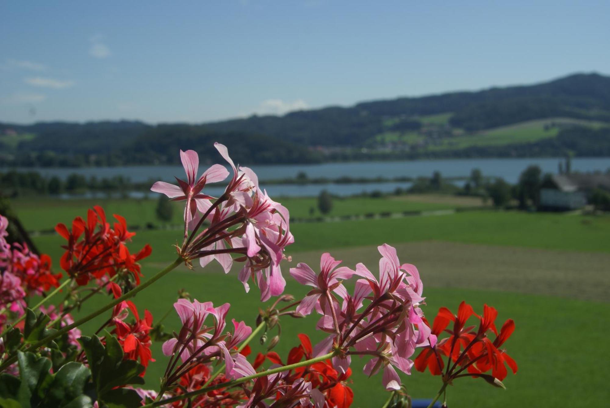 Hotel Walkner Seeham Rom bilde